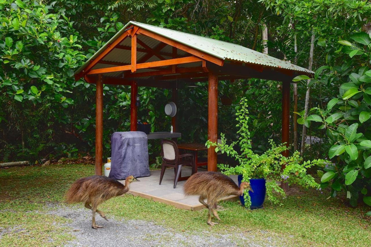 Thornton Beach Bungalows Daintree Cape Tribulation Bagian luar foto