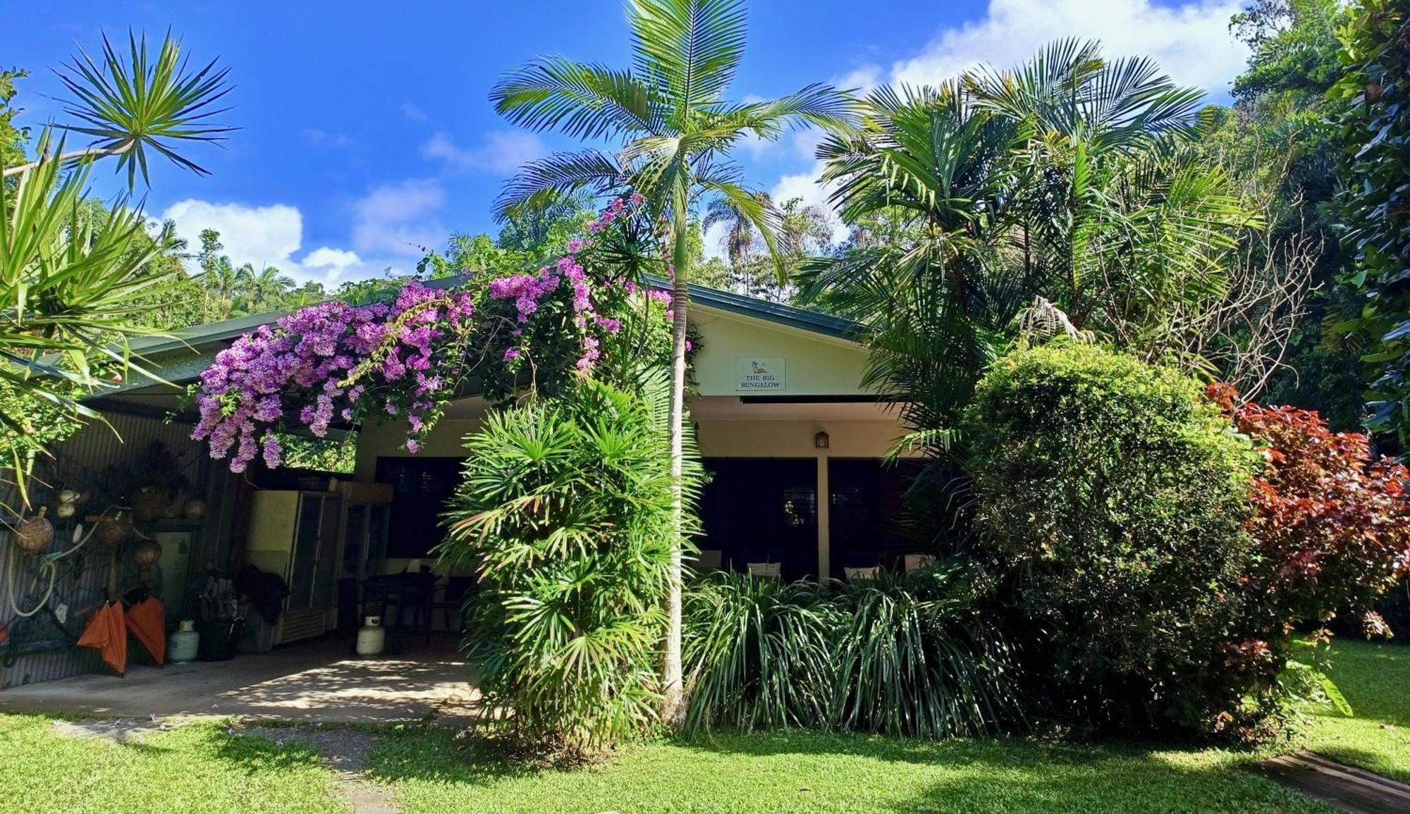 Thornton Beach Bungalows Daintree Cape Tribulation Bagian luar foto