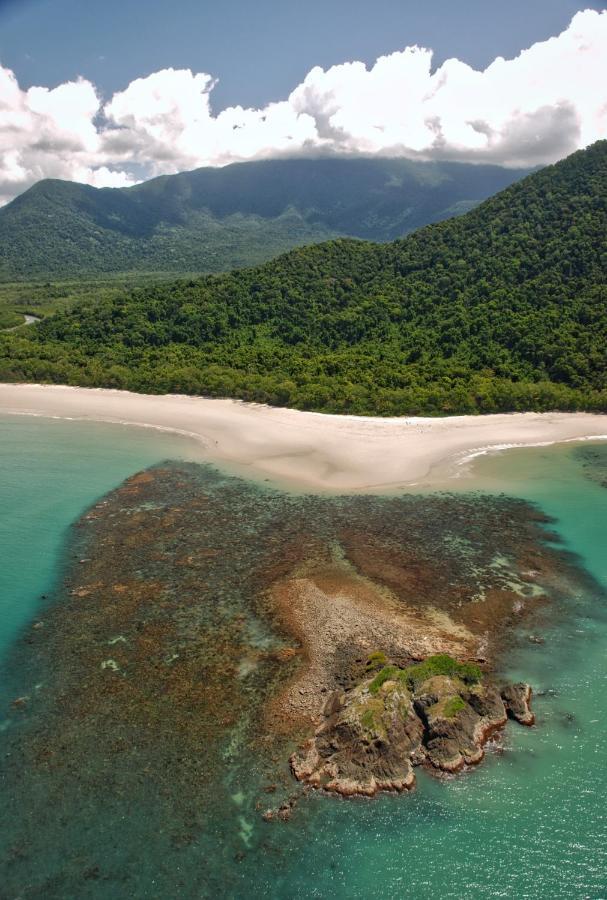 Thornton Beach Bungalows Daintree Cape Tribulation Bagian luar foto