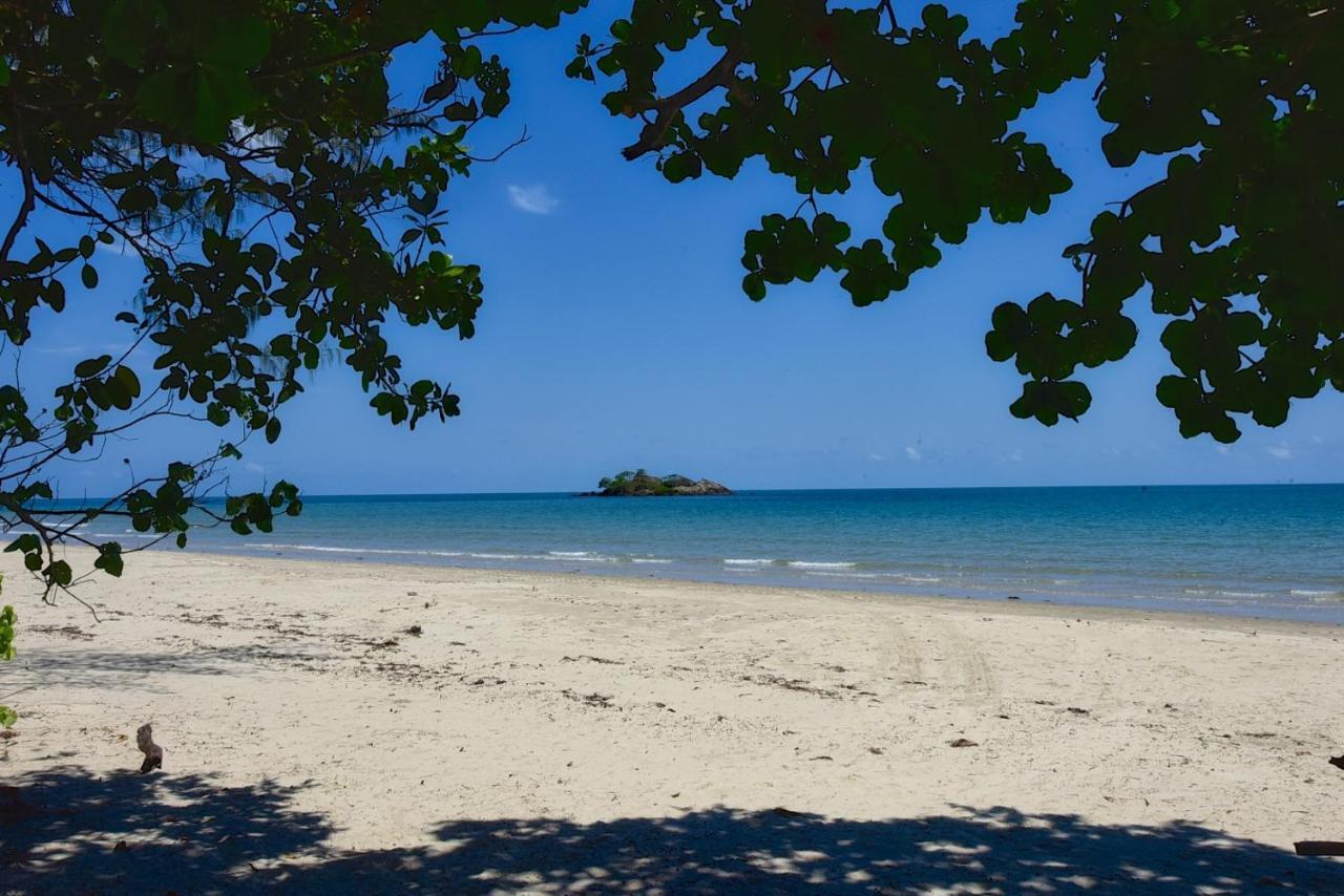 Thornton Beach Bungalows Daintree Cape Tribulation Bagian luar foto